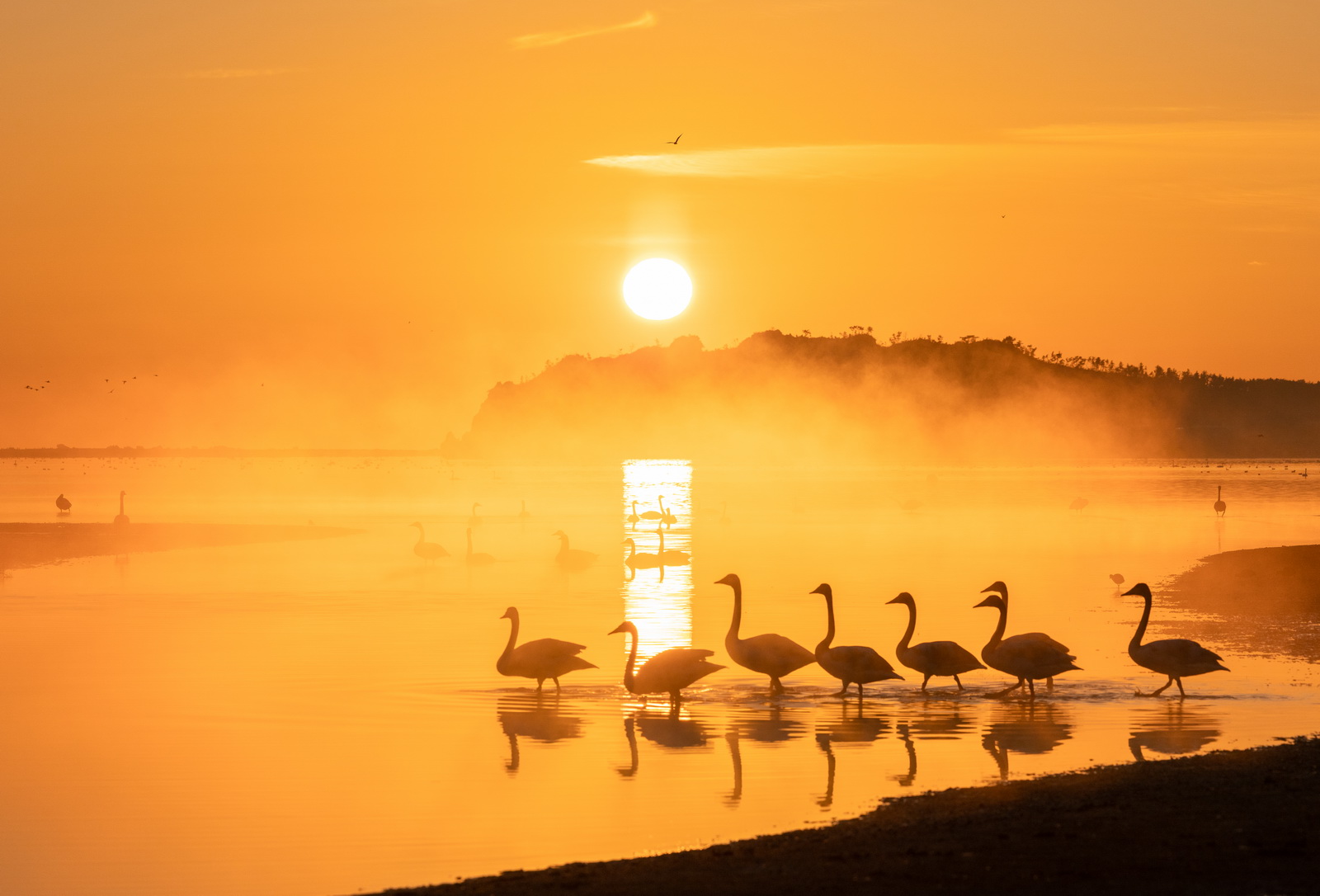 中国威海（荣成）自然生态摄影展征稿启事